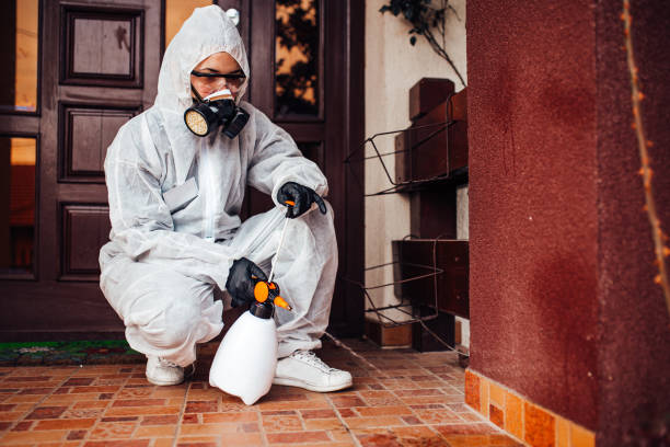 Attic and Crawl Space Rodent Treatment in Marion